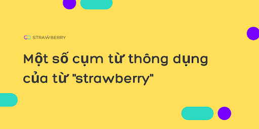 ;Quả Dâu Tây; trong Tiếng Anh là gì: Định Nghĩa & Ví dụ