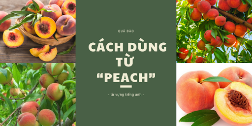 Quả Đào trong tiếng anh là gì: Định Nghĩa & Ví dụ.