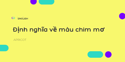 APRICOT là màu gì: Định nghĩa & Ví dụ.