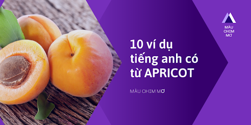 APRICOT là màu gì: Định nghĩa & Ví dụ.