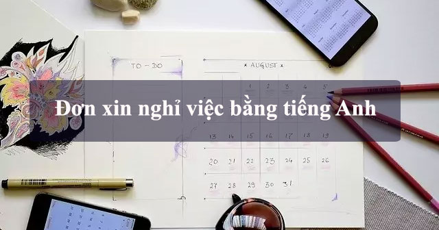 "Người Làm Đơn" trong Tiếng Anh là gì: Cách viết, Ví dụ