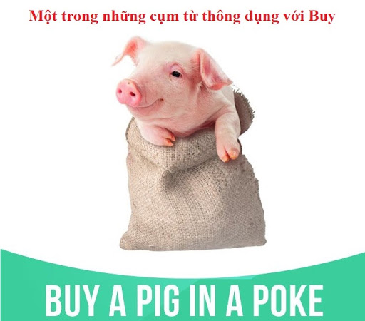 buy nghĩa là gì