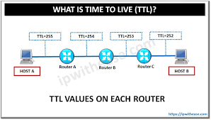 time to live trong tiếng Anh