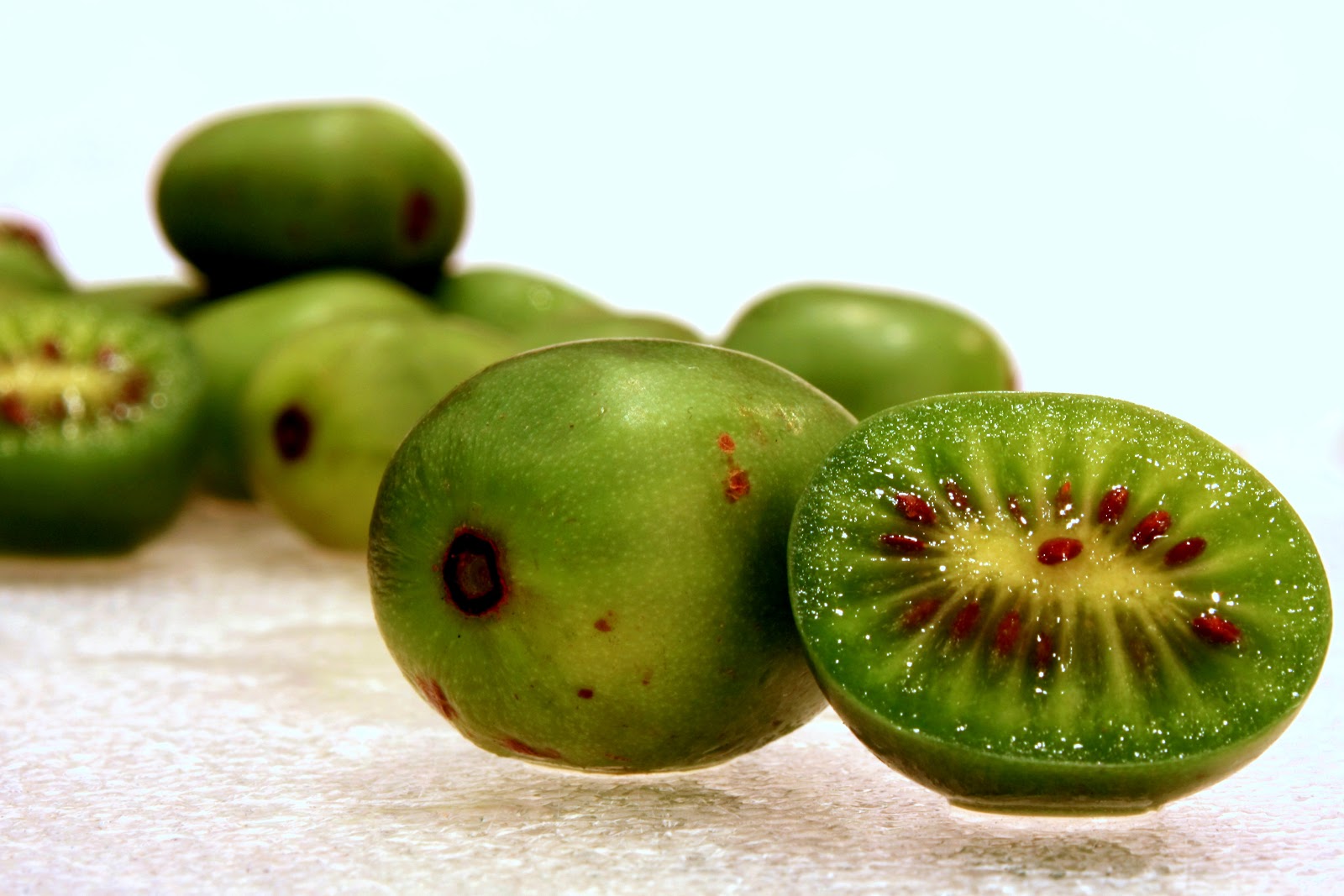 kiwi + gì, kiwi nghĩa là gì, phân loại kiwi, một số sự thật thú vị về kiwi