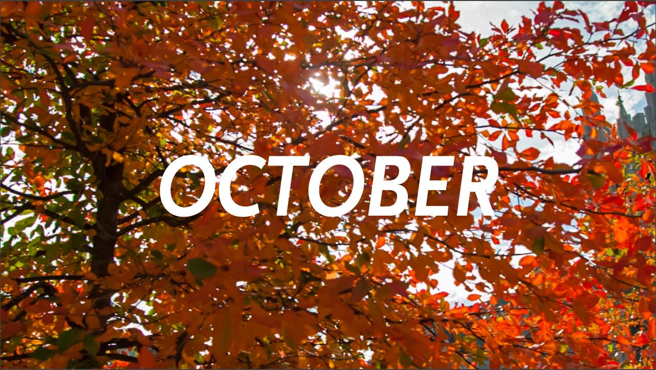 october là tháng mấy