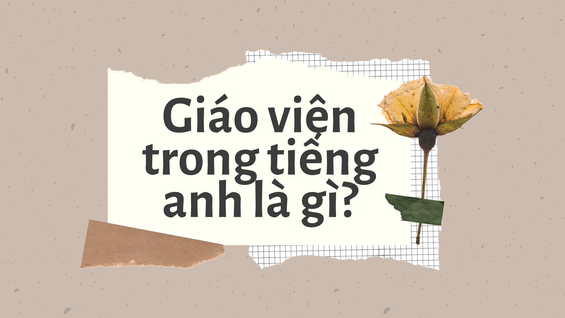 Giáo Viên trong Tiếng Anh là gì: Định Nghĩa, Ví Dụ Anh Việt