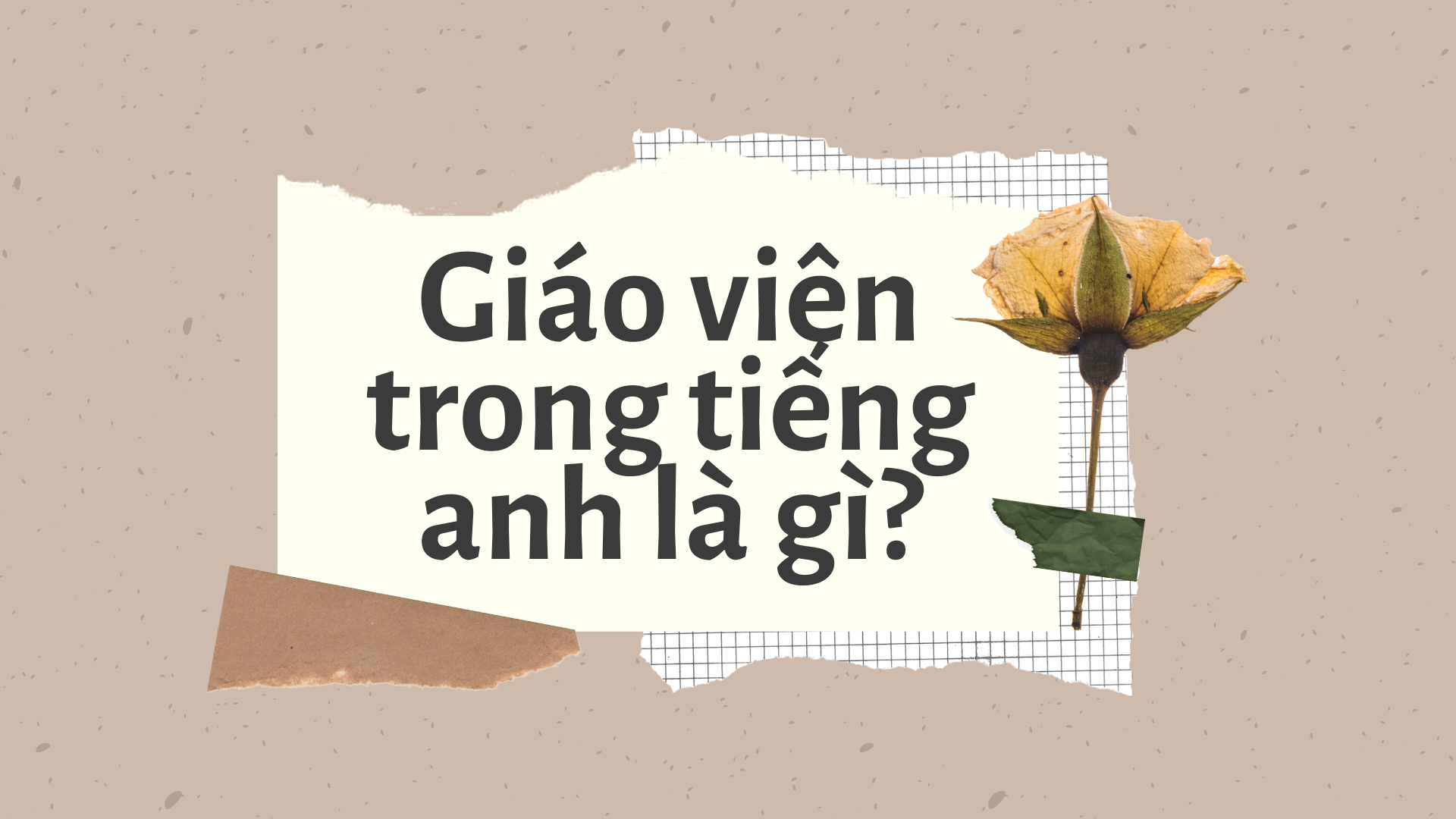 giáo viên tiếng anh là gì