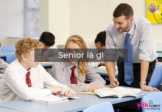 senior associate là gì