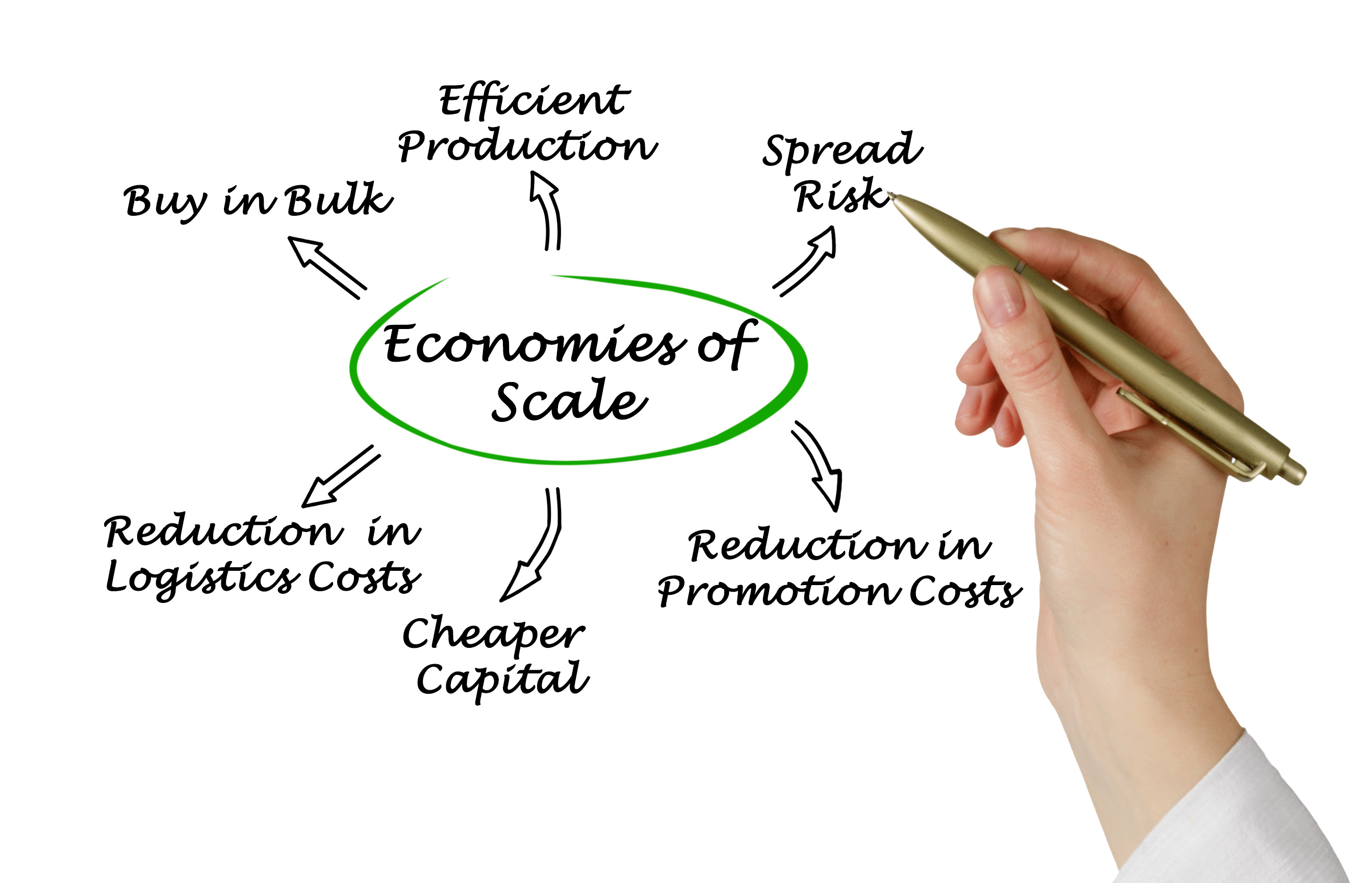 economies of scale là gì