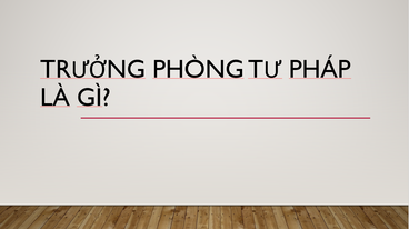 trưởng phòng tư pháp tiếng anh là gì