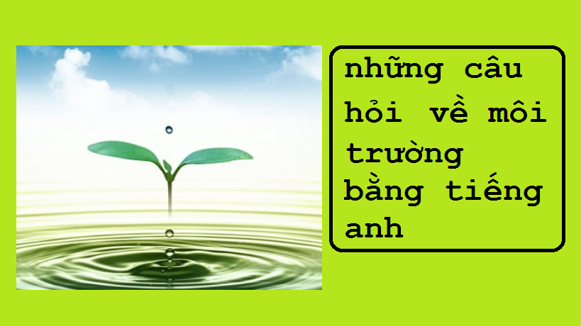 những câu hỏi về môi trường bằng tiếng anh