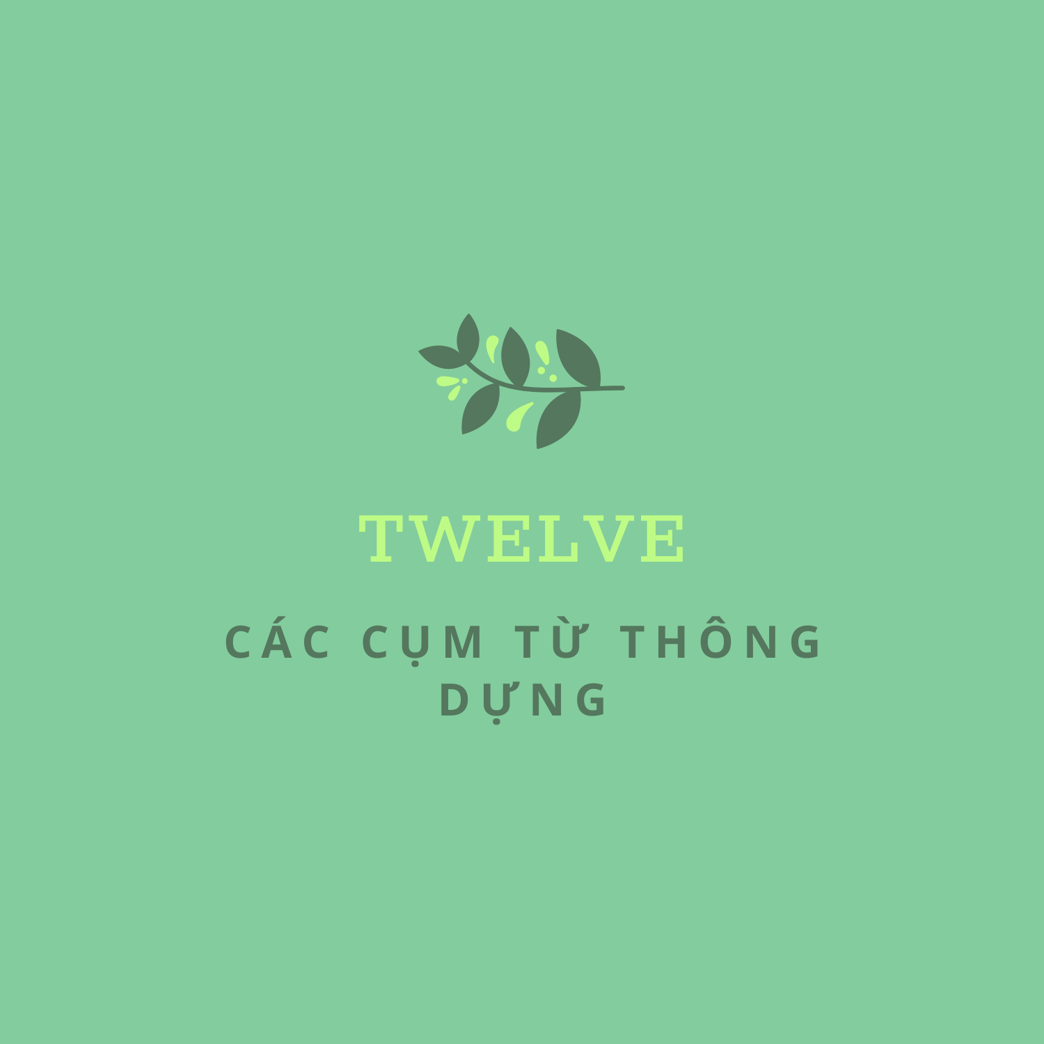 số 12 tiếng anh