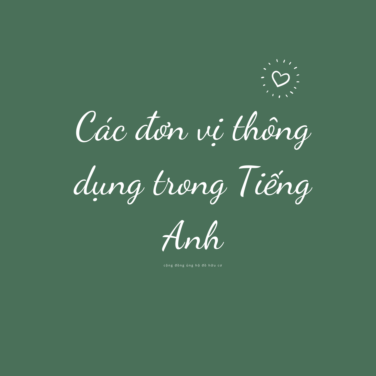 đơn vị tiếng anh