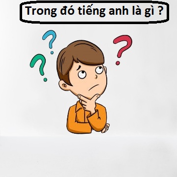 Trong đó Tiếng Anh là gì