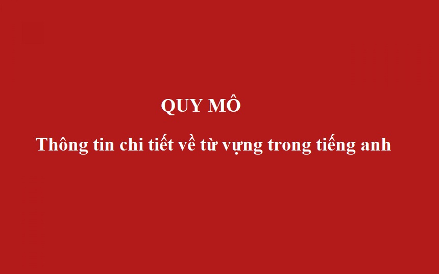 quy mô tiếng anh là gì