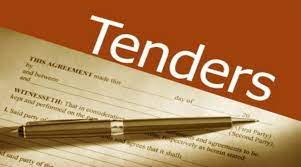 tender trong tiếng Anh