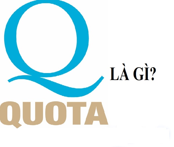 quota là gì