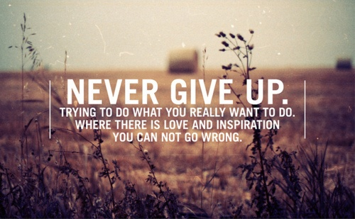 Give Up là gì