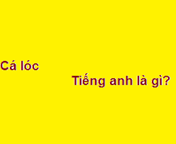 cá lóc trong tiếng Anh