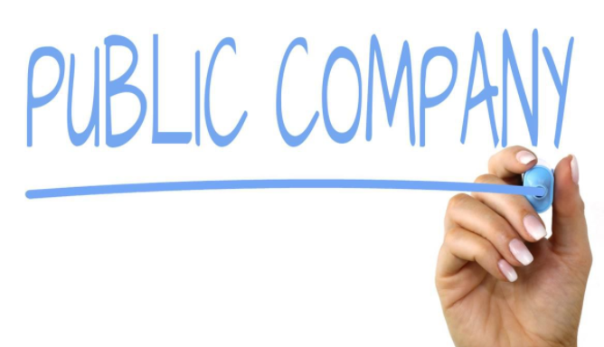public company là gì