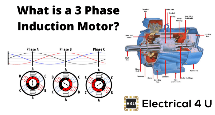 induction motor là gì