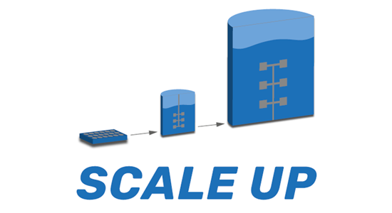 scale up là gì