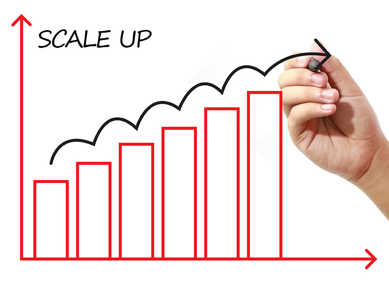 scale up là gì