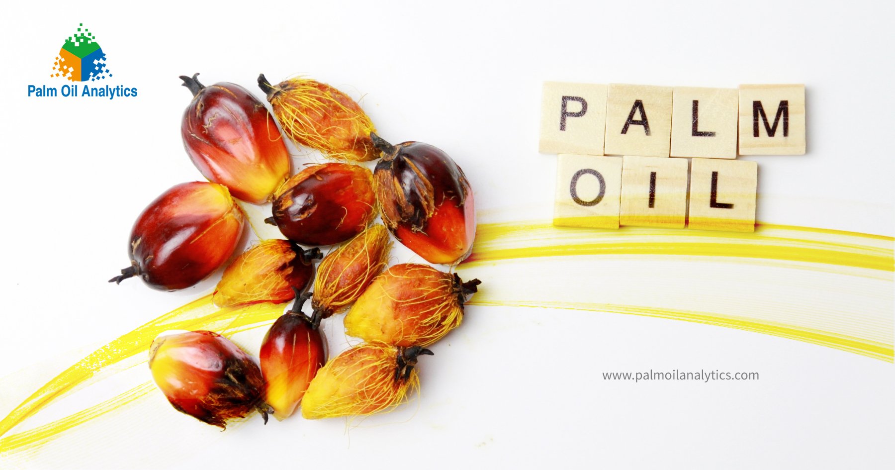 palm oil là gì