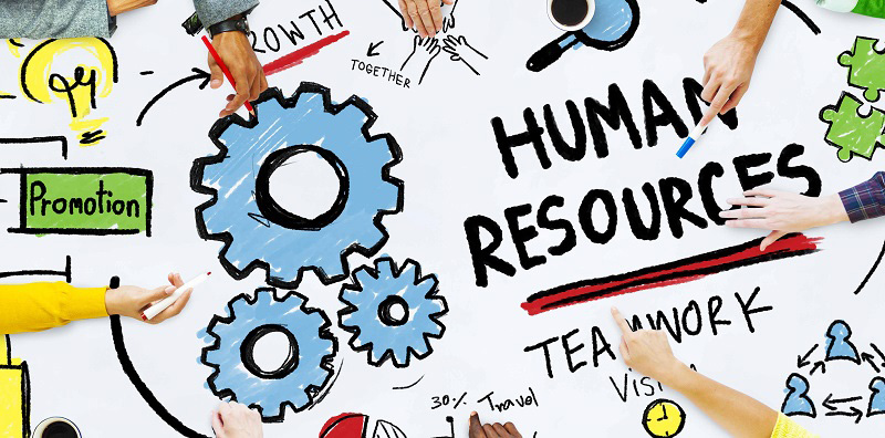 human resource là gì