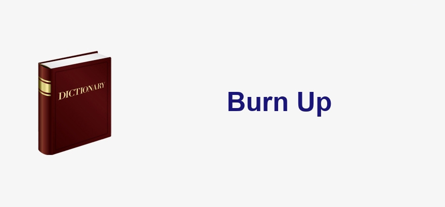 burn up là gì