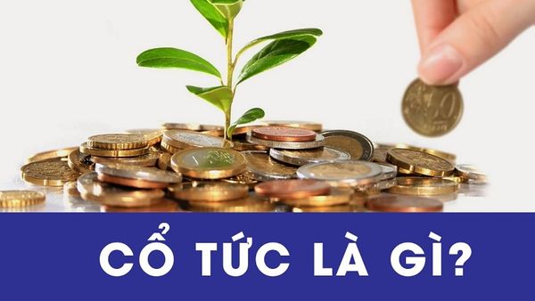 cổ tức tiếng anh là gì