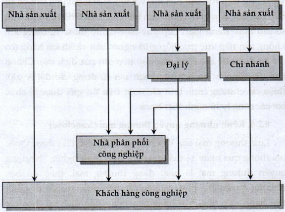 nhà phân phối trong tiếng anh là gì