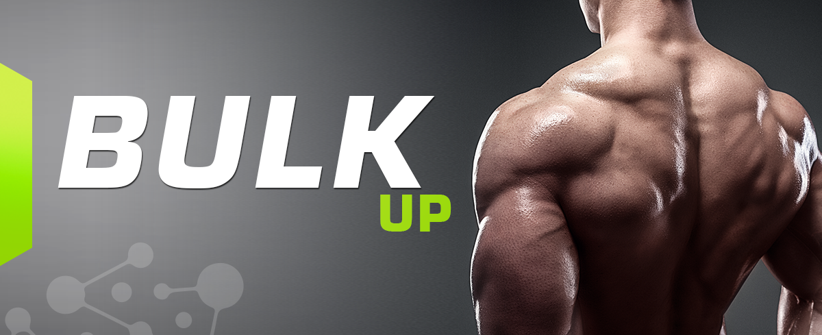 bulk up là gì