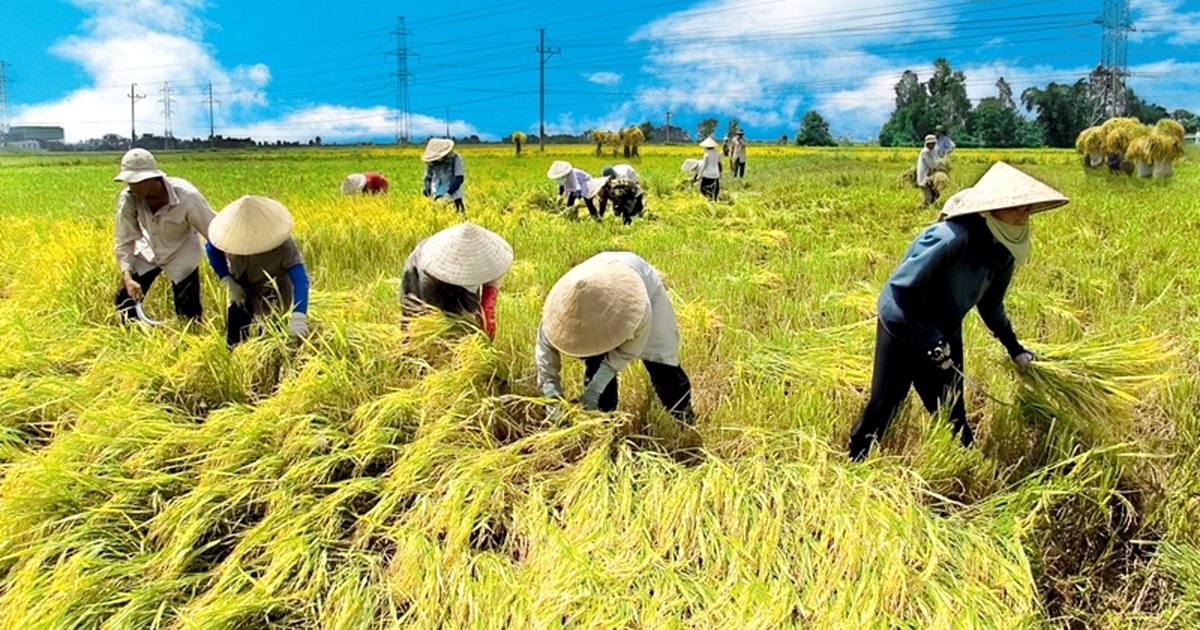 lạc hậu tiếng anh là gì