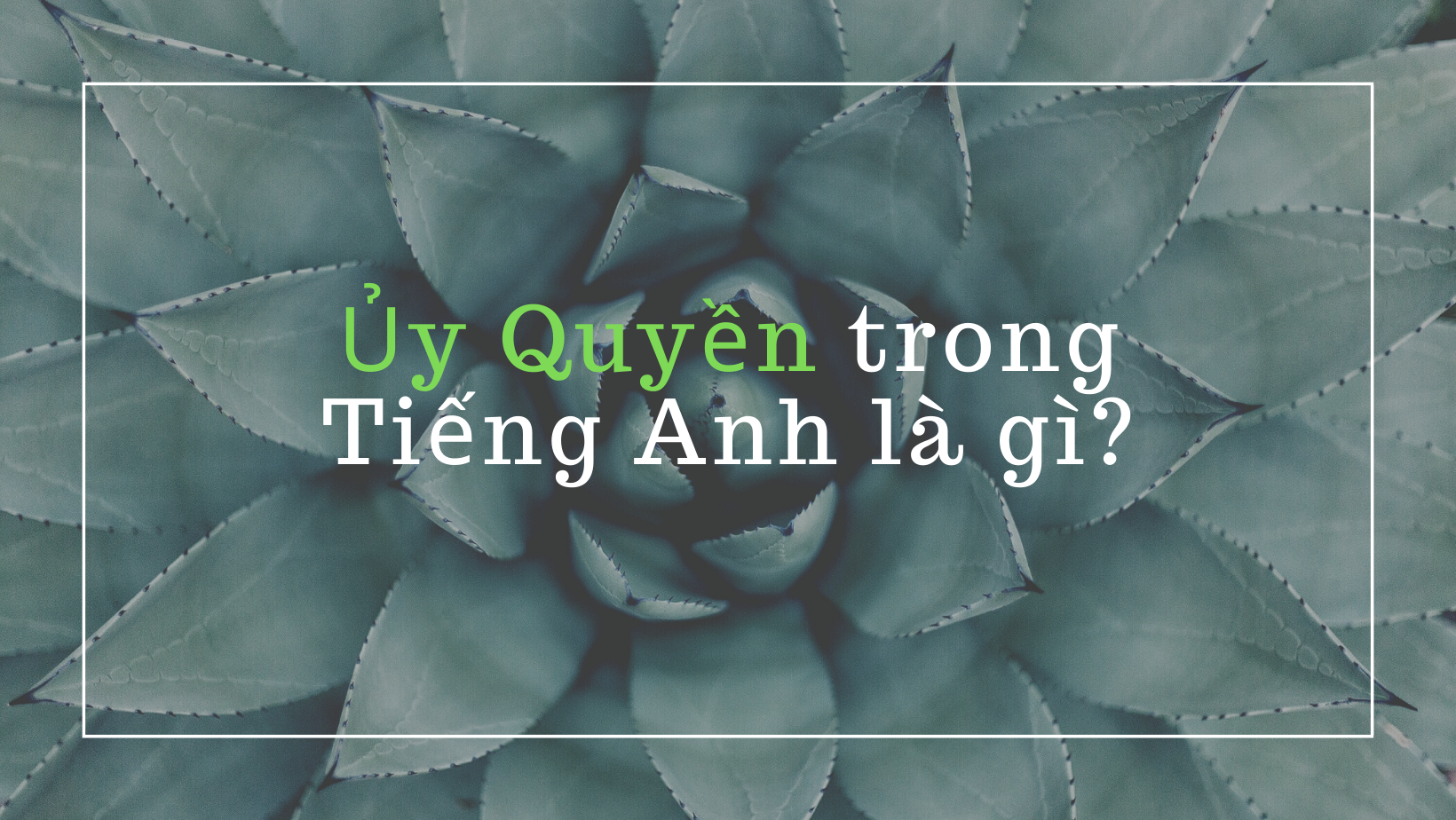 ủy quyền tiếng anh là gì