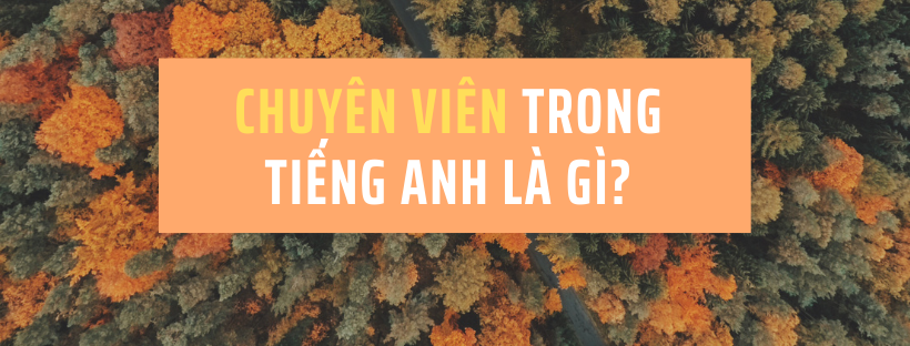 chuyên viên tiếng anh là gì