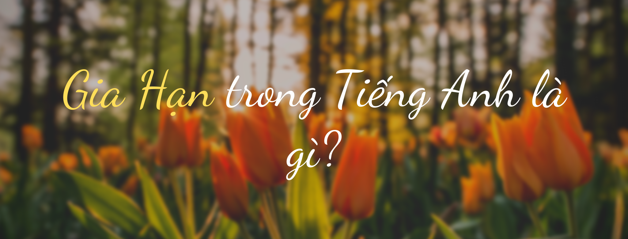 gia hạn tiếng anh là gì