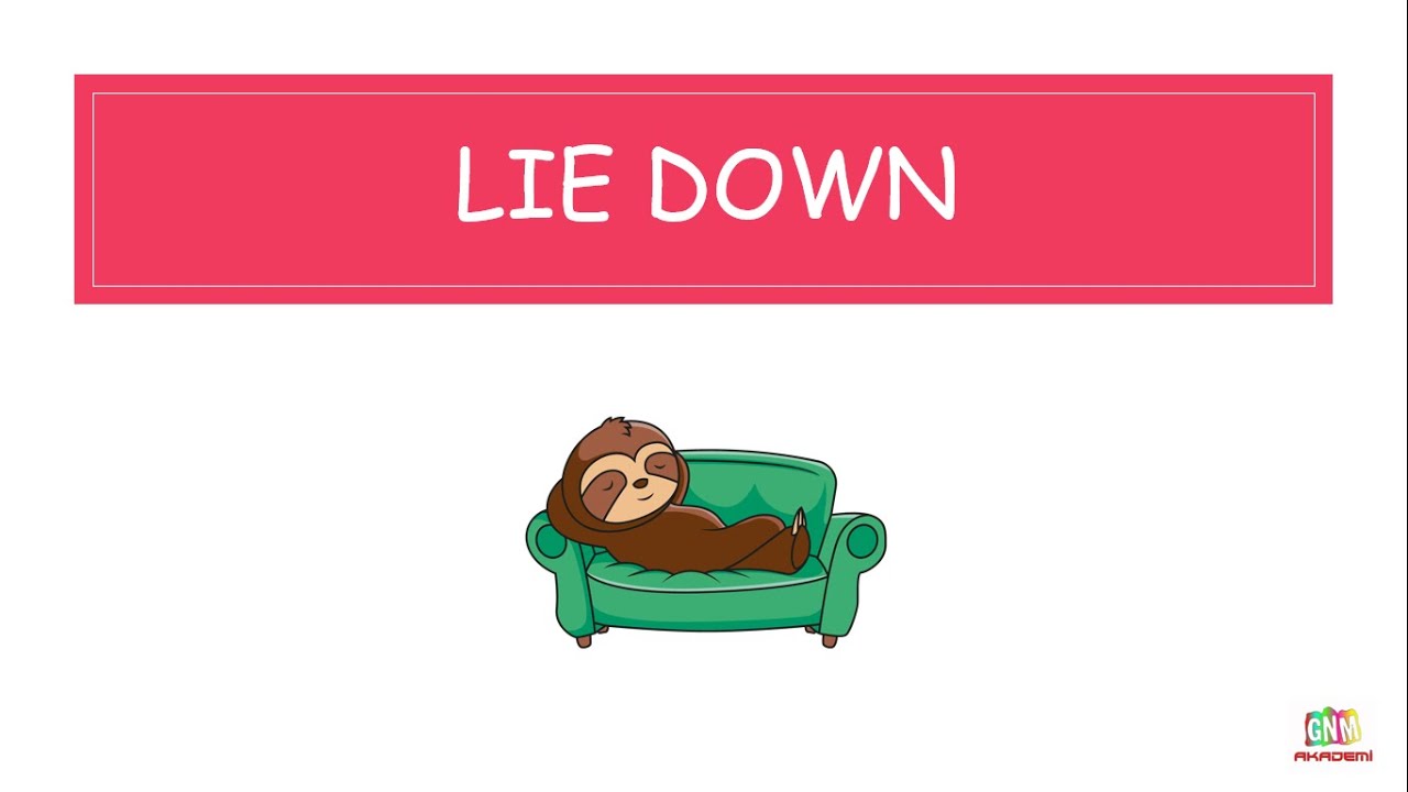 lie down là gì