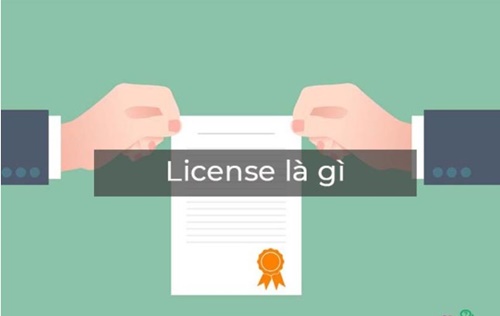 license là gì