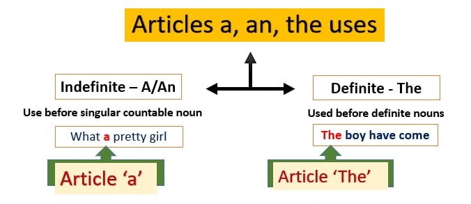 article nghĩa là gì