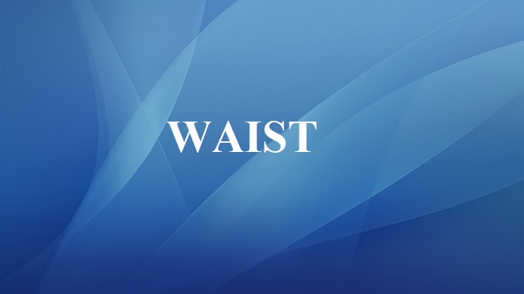 waist là gì