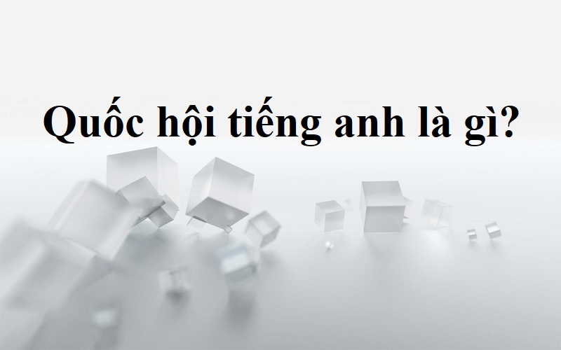 quốc hội tiếng anh là gì