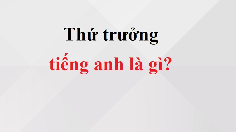 thứ trưởng tiếng anh là gì