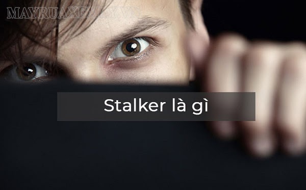 Stalk là gì