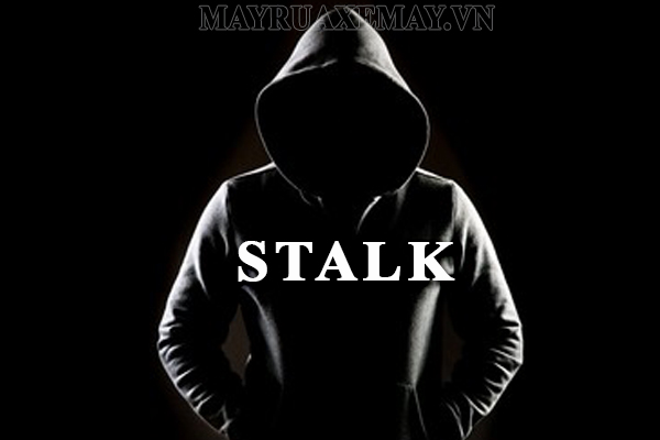 Stalk là gì
