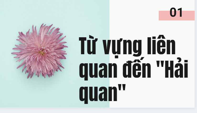 hải quan tiếng anh là gì