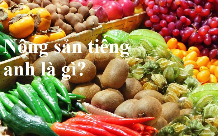 nông sản tiếng anh là gì