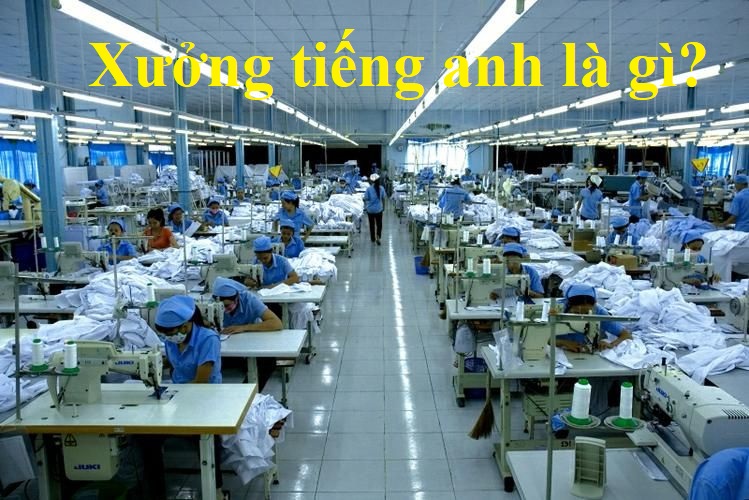 xưởng tiếng anh là gì