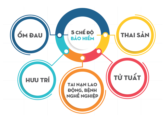 bảo hiểm xã hội tiếng anh