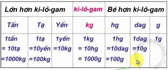 tấn tiếng anh là gì